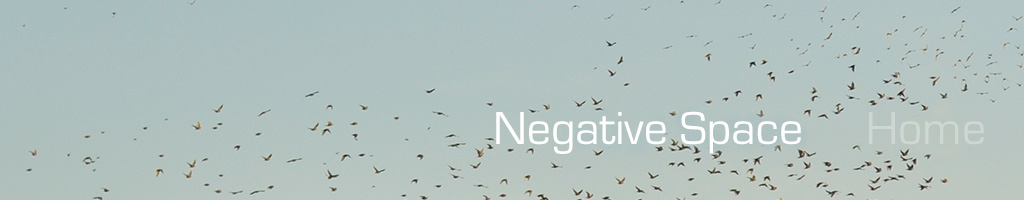 Negative Space Banner